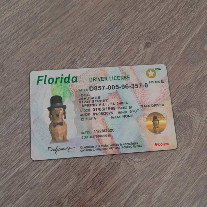 Advantages of Using Fake ID Templates